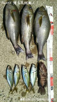 ���������ޥϥ�������