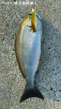 ���������ޥϥ�������