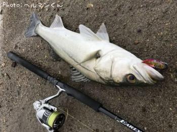 �����Х�