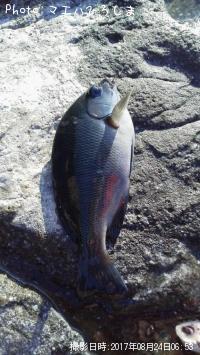 �ߥ�ã����