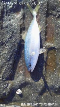 �ߥ�ã����