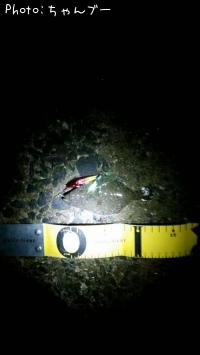 ¥Ò¥é¥á¡Ê¤½¤²¡Ë