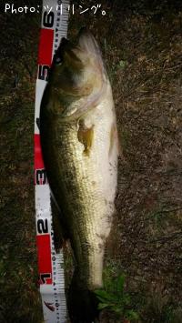 ¥Ö¥é¥Ã¥¯¥Ð¥¹