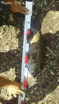 ¥¹¥â¡¼¥ë¥Þ¥¦¥¹¥Ð¥¹