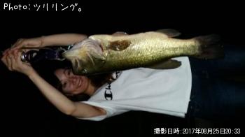 �֥�å��Х�