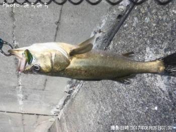 �����Х�