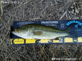 ¥Ö¥é¥Ã¥¯¥Ð¥¹