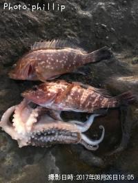 �����ϥ�