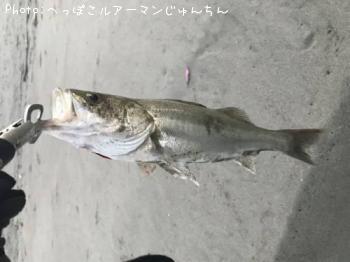 �����Х�