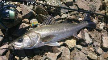 �����Х�