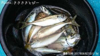 ���������С����ʥ������