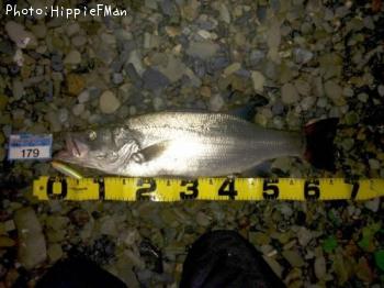 �ҥ饹����