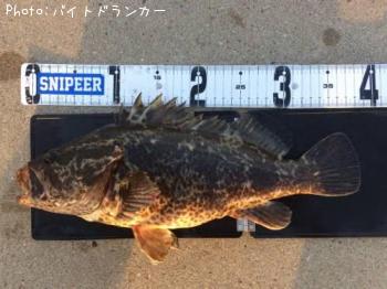 �����Υ���Х�