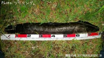 Íëµû