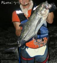 ���󥬥ᥢ��