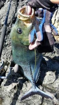 ¥¯¥í¥«¥Ã¥Ý¥ì