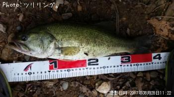 �֥�å��Х�