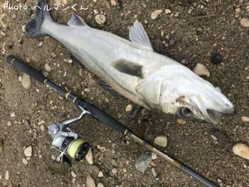 �����Х�