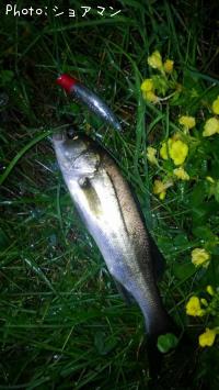 �����Х�