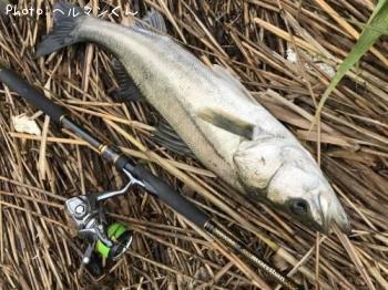 �����Х�