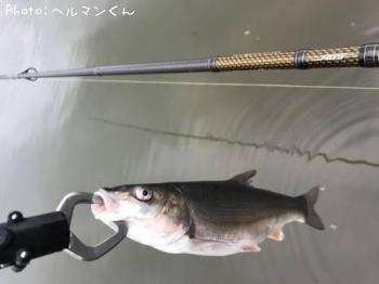 �ޥ륿������