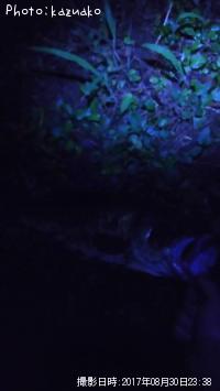 ¥Ö¥é¥Ã¥¯¥Ð¥¹