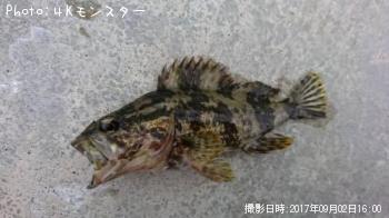 �٥å�������