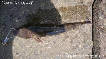 �ޥ���