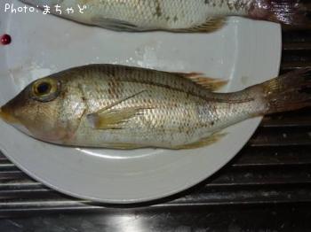 ¥¤¥Î¡¼¥à¥ë¡¼¡Ú¥¤¥È¥Õ¥¨¥Õ¥¡Û