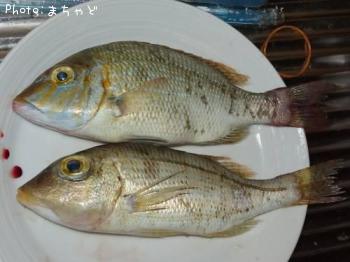 ¥¤¥Î¡¼¥à¥ë¡¼¡Ú¥¤¥È¥Õ¥¨¥Õ¥¡Û