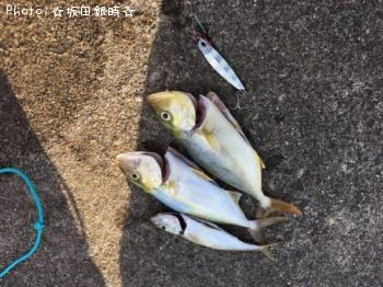 ¥·¥ª¡¦¥¢¥¸