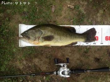 �֥�å��Х�