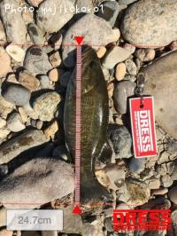 ¥Ö¥é¥Ã¥¯¥Ð¥¹