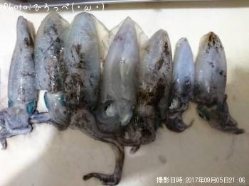 �����ꥤ��