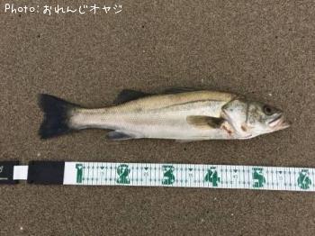 �����Х�