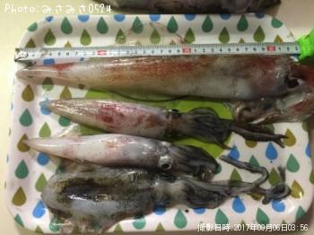 ���󥵥�����