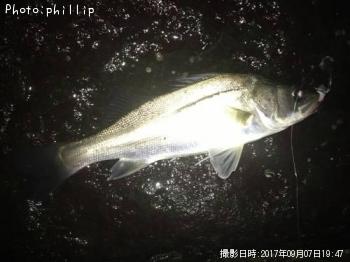 �����Х�