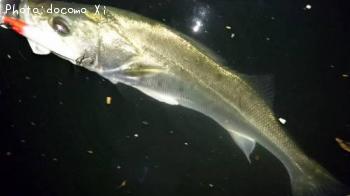 �����Х�