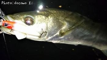 �����Х�