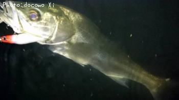 �����Х�