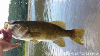 ���⡼��ޥ����Х�