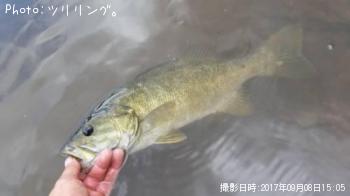 ���⡼��ޥ����Х�