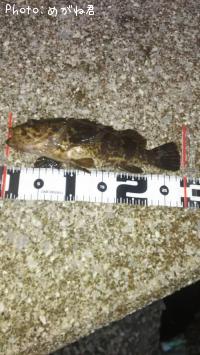 �����Υ���Х�