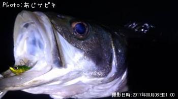 �����Х�