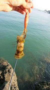 �����ꥤ��