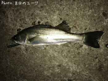 �����Х�