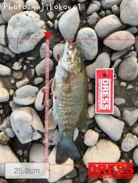 ¥Ö¥é¥Ã¥¯¥Ð¥¹