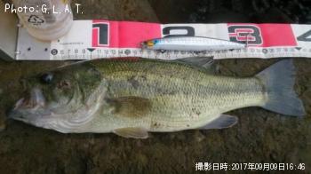 �֥�å��Х�