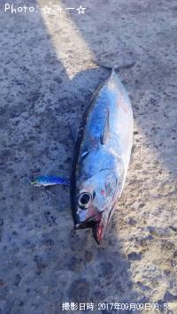 ¥½¥¦¥À¥¬¥Ä¥ª