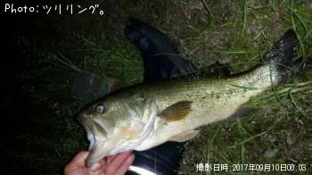 �֥�å��Х�